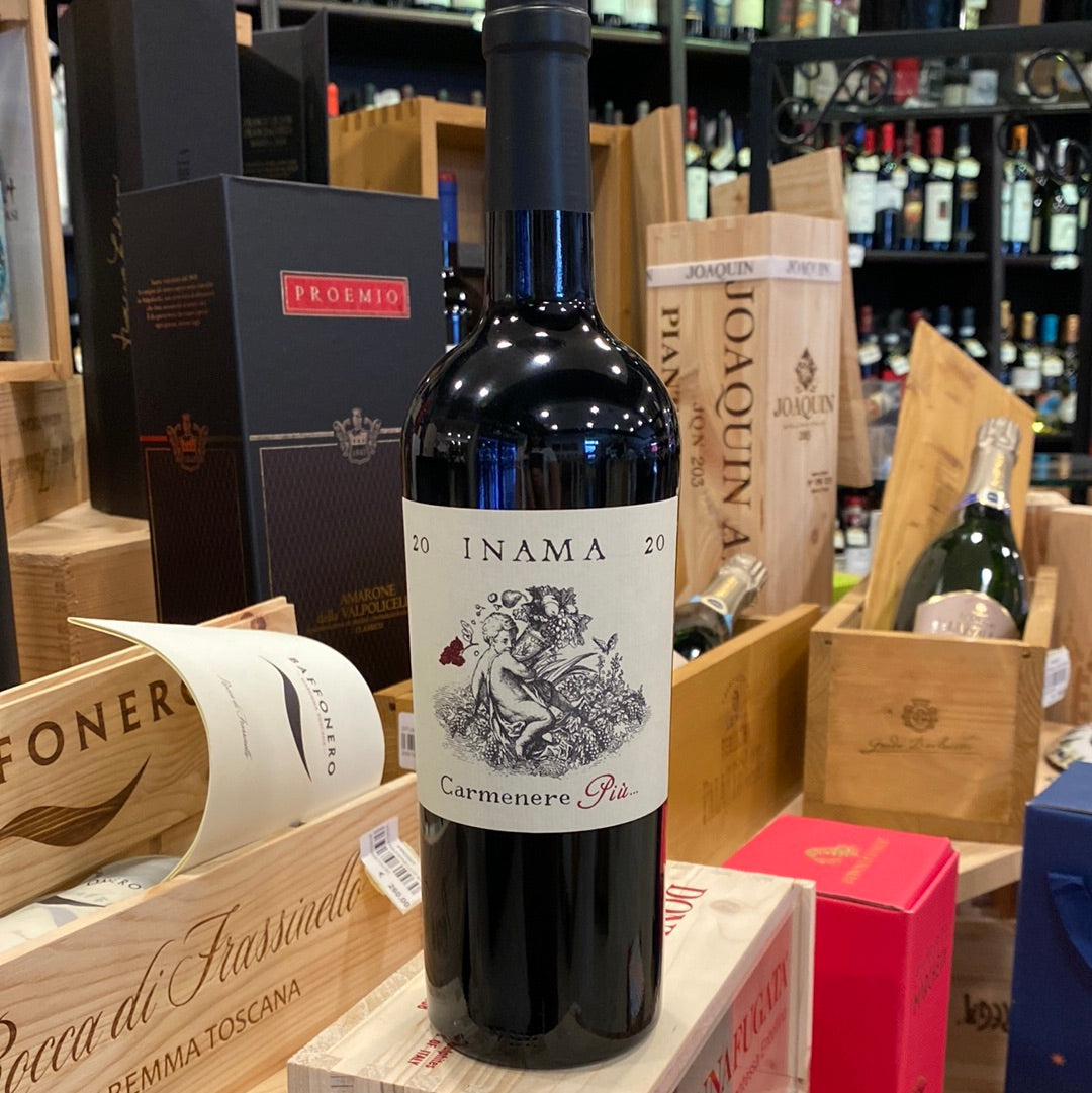 INAMA VENETO ROSSO IGT 2020 “Carmenere Più “