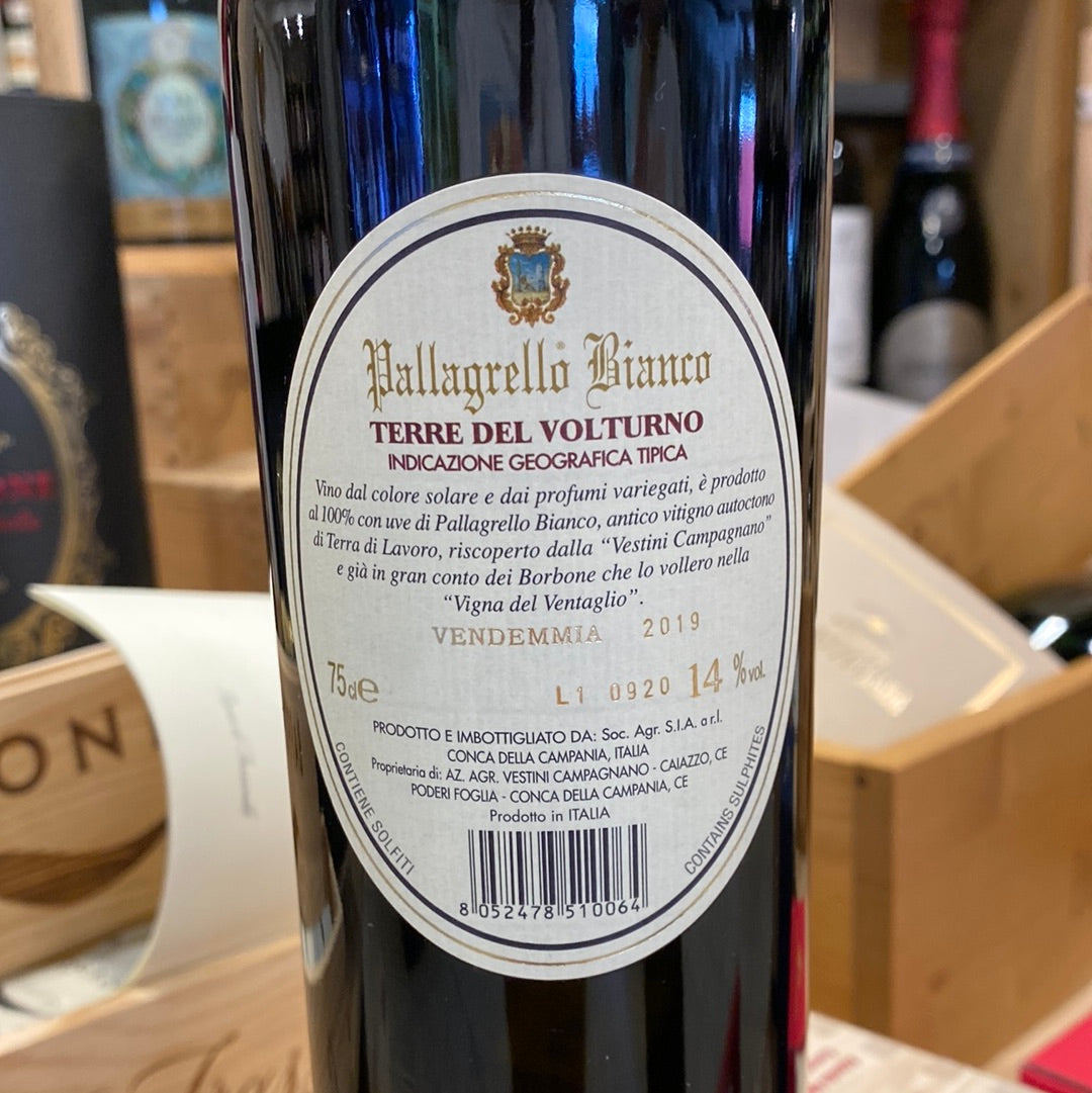 VESTINI CAMPAGNANO PALLAGRELLO BIANCO
