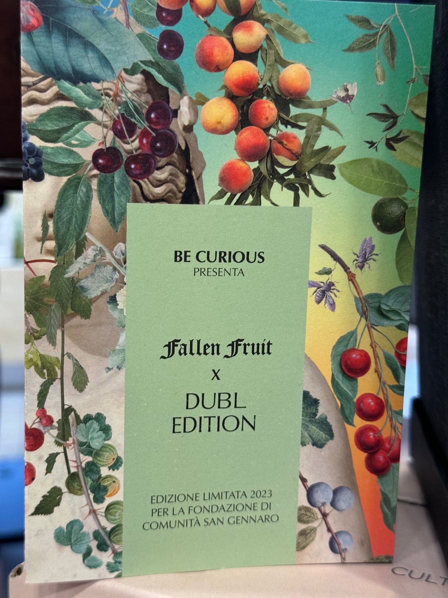 Spumante FEUDI SAN GREGORIO DUBL EDITION “ Fallen Fruit”