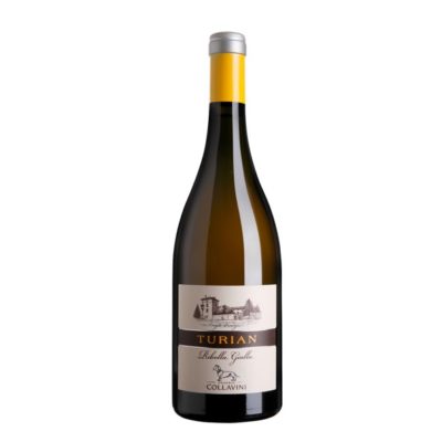 VINO COLLAVINI TURIAN RIBOLLA GIALLA CL 75