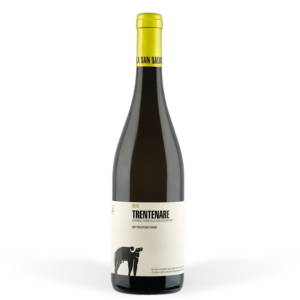 VINO S.SALVATORE TRENTENARE IGP PAESTUM FIANO lt 1.5